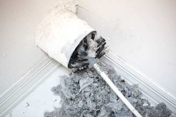 Best Affordable HVAC Duct Cleaning  in Steele, AL